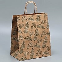 Пакет подарочный крафтовый «Эко»